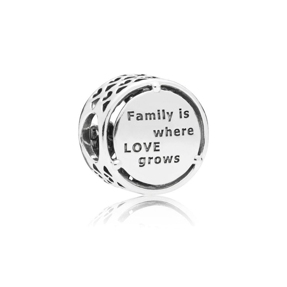 Pandora 797590 Charm Pandora 797590 Charm